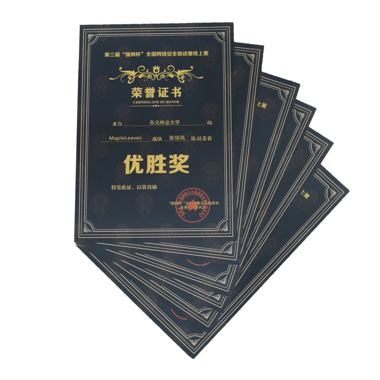 实验室竞赛荣誉图片四
